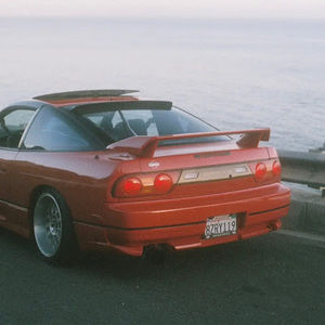 Meet your Posher, Brady